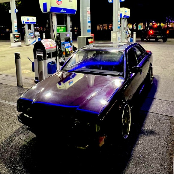 Meet your Posher, Johnnie - Picture 2 of 3